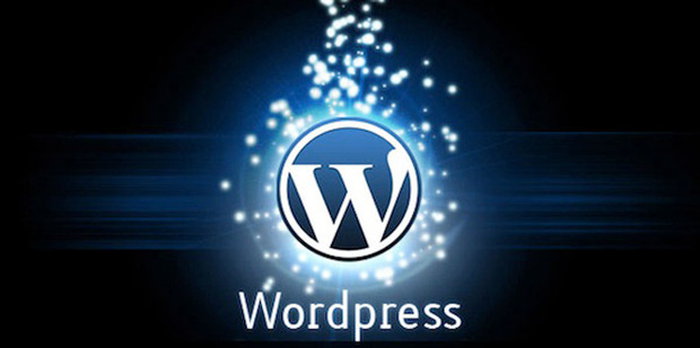 WordPress 2024 Yılında Bile Kullanılır mı?